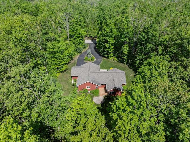 11193 Hassler Woods Trl, Alanson, MI 49706 - view of subject property with a forest