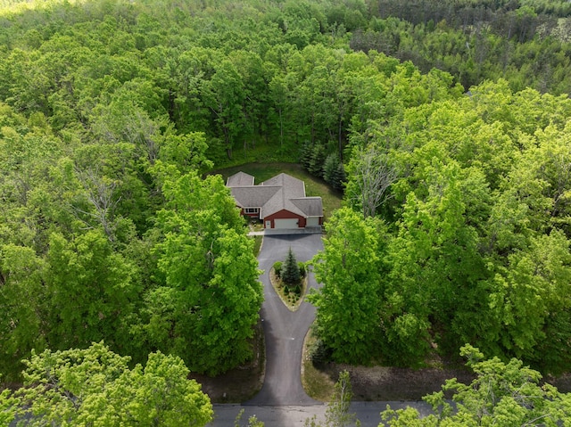 11193 Hassler Woods Trl, Alanson, MI 49706 - view of subject property featuring a forest