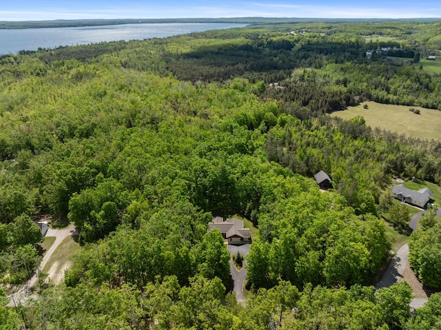 11193 Hassler Woods Trl, Alanson, MI 49706 - aerial view of a forest and a large body of water