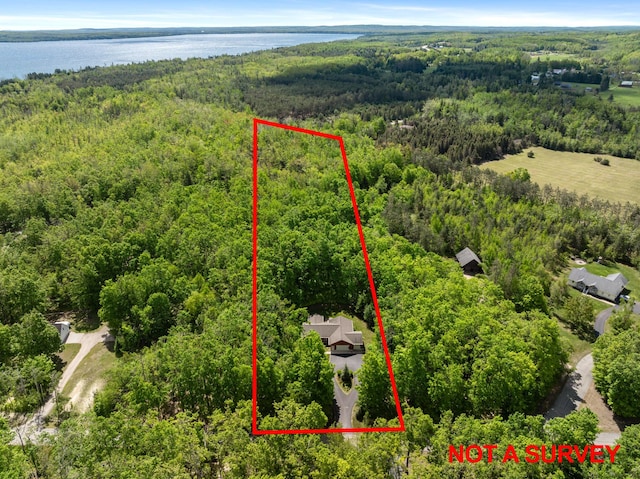 11193 Hassler Woods Trl, Alanson, MI 49706 - aerial view of property and surrounding area featuring a forest, a large body of water, and property boundaries highlighted