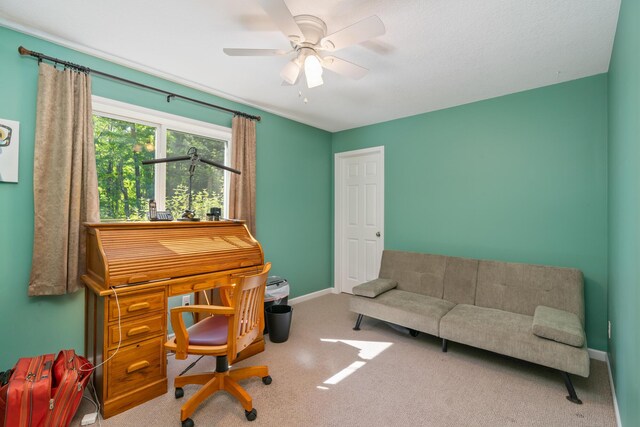 11193 Hassler Woods Trl, Alanson, MI 49706 - home office featuring carpet flooring, baseboards, and a ceiling fan
