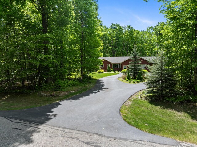 11193 Hassler Woods Trl, Alanson, MI 49706 - view of front of property with asphalt driveway and a forest view
