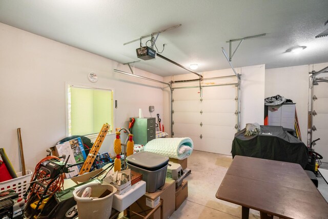 11193 Hassler Woods Trl, Alanson, MI 49706 - garage featuring a garage door opener