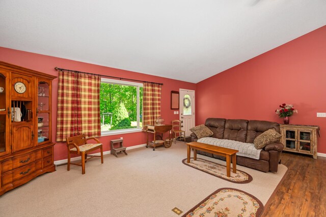 11193 Hassler Woods Trl, Alanson, MI 49706 - living room featuring vaulted ceiling and baseboards