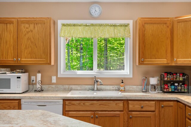 11193 Hassler Woods Trl, Alanson, MI 49706 - kitchen featuring white appliances, light countertops, and a sink