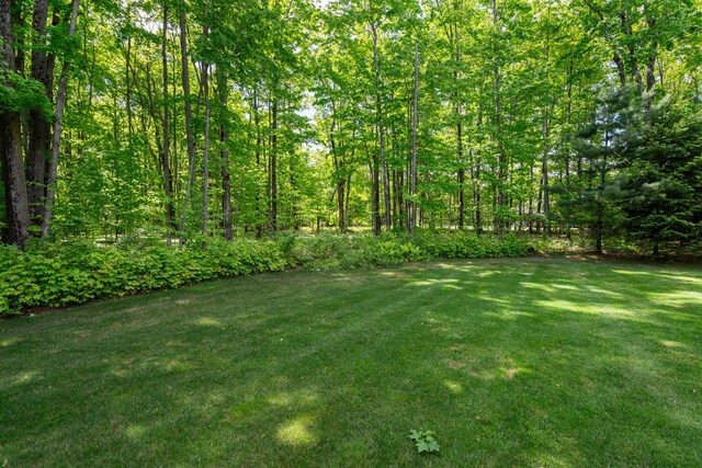 11193 Hassler Woods Trl, Alanson, MI 49706 - view of green lawn