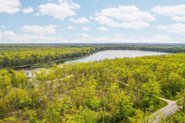 7106 Douglas Lake Rd, Johannesburg, MI 49751 - water view featuring a forest