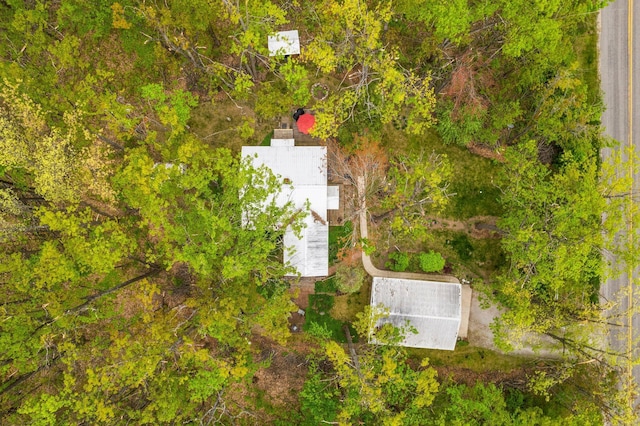 7106 Douglas Lake Rd, Johannesburg, MI 49751 - view of subject property