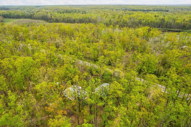 7106 Douglas Lake Rd, Johannesburg, MI 49751 - aerial view of a heavily wooded area