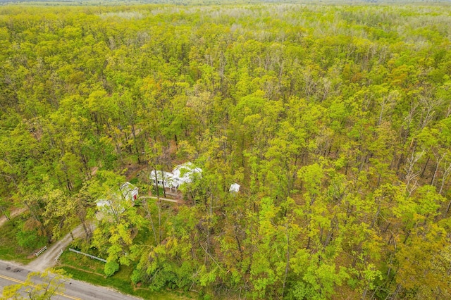 7106 Douglas Lake Rd, Johannesburg, MI 49751 - bird's eye view of a heavily wooded area