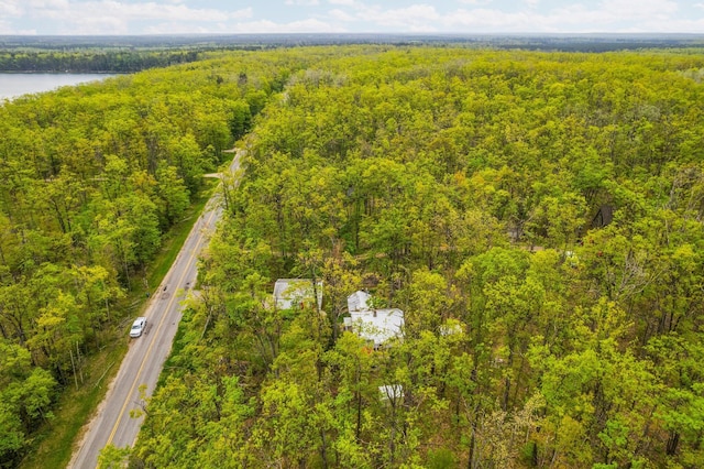 7106 Douglas Lake Rd, Johannesburg, MI 49751 - bird's eye view of a forest and a large body of water