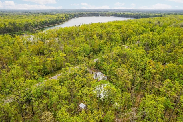 7106 Douglas Lake Rd, Johannesburg, MI 49751 - drone / aerial view of a forest and a nearby body of water