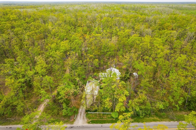 7106 Douglas Lake Rd, Johannesburg, MI 49751 - aerial view of a forest