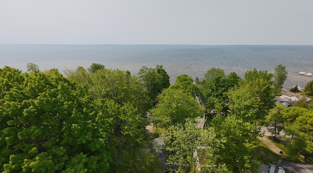 8584 E Houghton Lake Dr, Houghton Lake, MI 48629 - photo 27