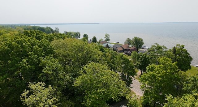 8584 E Houghton Lake Dr, Houghton Lake, MI 48629 - photo 28