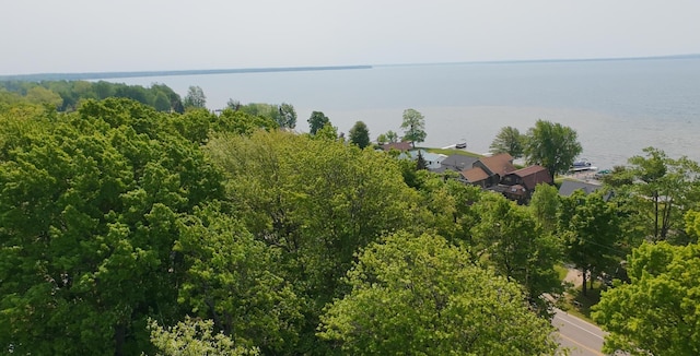 8584 E Houghton Lake Dr, Houghton Lake, MI 48629 - photo 29