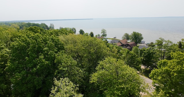 8584 E Houghton Lake Dr, Houghton Lake, MI 48629 - photo 30