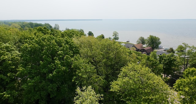 8584 E Houghton Lake Dr, Houghton Lake, MI 48629 - photo 31