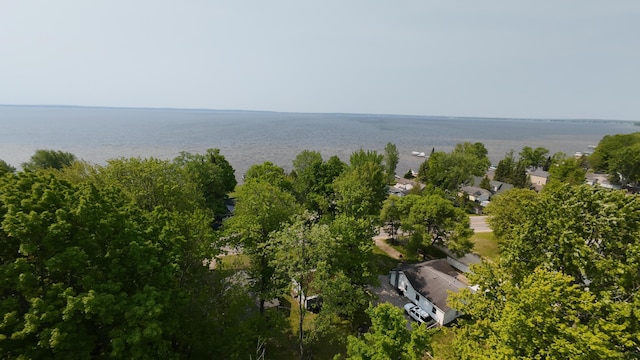 8584 E Houghton Lake Dr, Houghton Lake, MI 48629 - photo 32