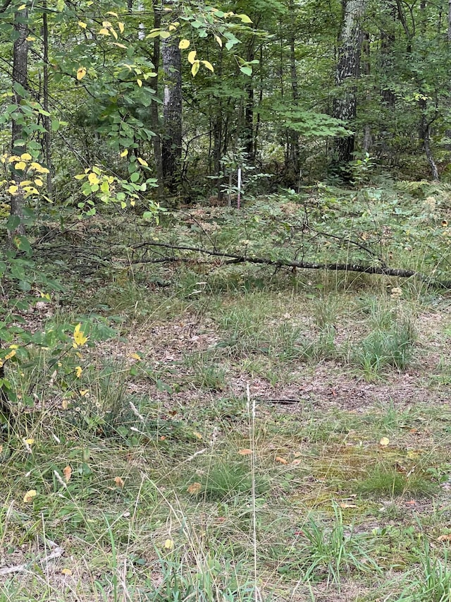 7781 N M-18, Roscommon, MI 48653 - view of local wilderness