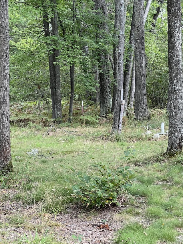 7781 N M-18, Roscommon, MI 48653 - view of yard featuring a view of trees