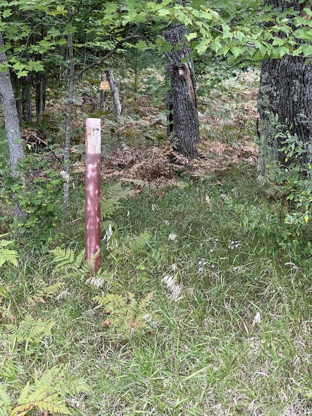 7781 N M-18, Roscommon, MI 48653 - exterior view