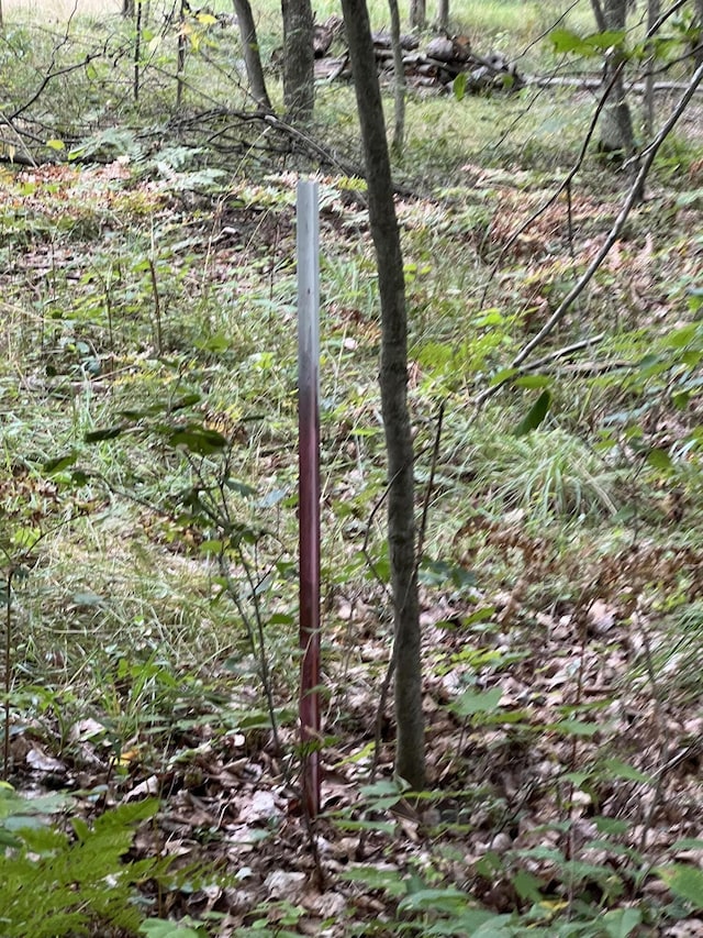 7781 N M-18, Roscommon, MI 48653 - view of nature