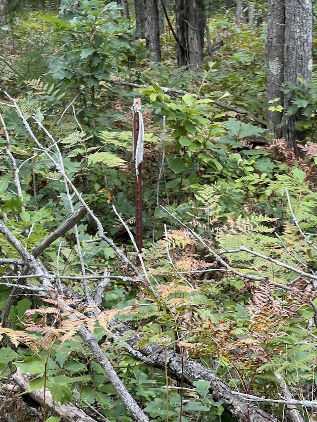 7781 N M-18, Roscommon, MI 48653 - view of undeveloped land