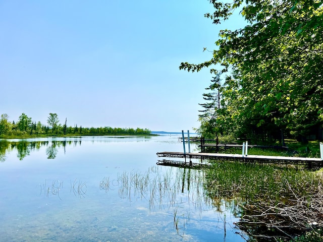 2940 Wooden Dr, Cheboygan, MI 49721
