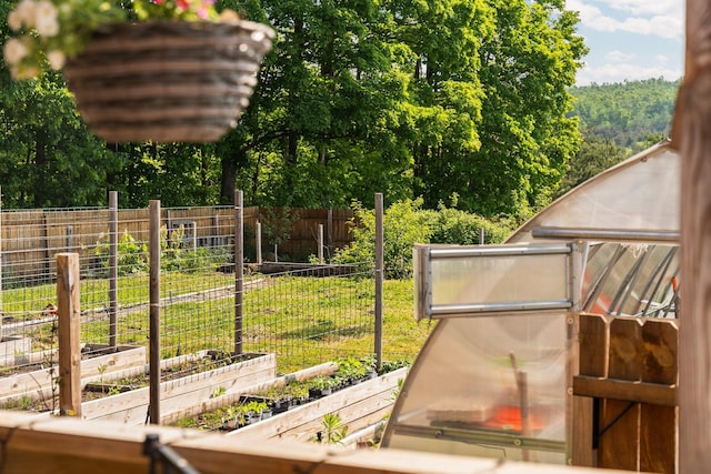 8406 S Shire Rd, Vanderbilt, MI 49795 - view of yard featuring a vegetable garden