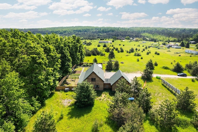 8406 S Shire Rd, Vanderbilt, MI 49795 - view of subject property with a heavily wooded area