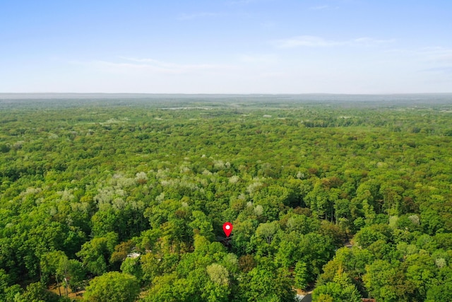 211 Gardners Grv, Roscommon, MI 48653 - drone / aerial view of a heavily wooded area