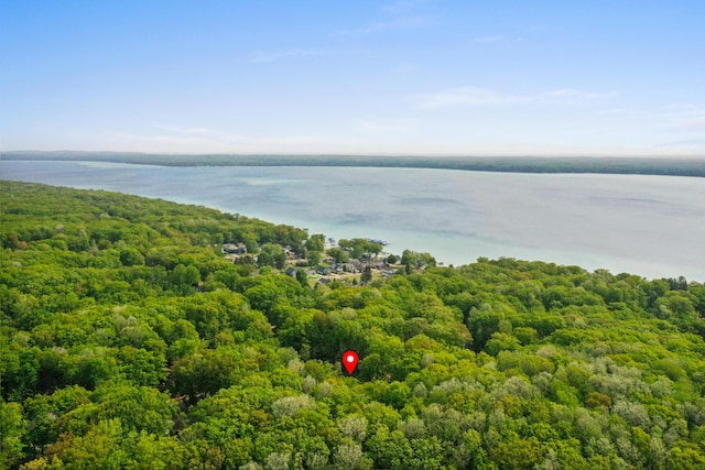 211 Gardners Grv, Roscommon, MI 48653 - aerial view of a forest and a nearby body of water