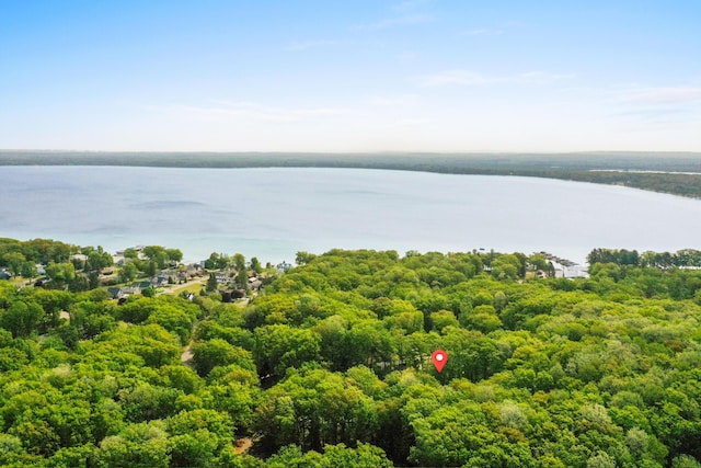 211 Gardners Grv, Roscommon, MI 48653 - aerial view of a large body of water and a heavily wooded area