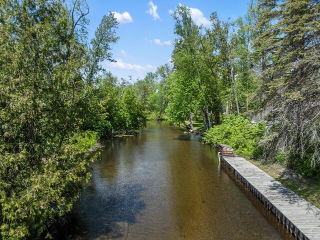 3869 Club Rd, Indian River, MI 49749 - water view