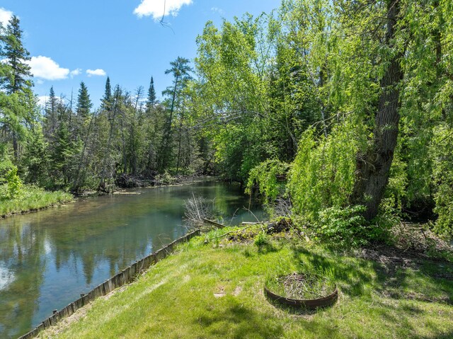 3869 Club Rd, Indian River, MI 49749 - water view with a forest