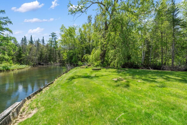 3869 Club Rd, Indian River, MI 49749 - view of green lawn with a water view and a view of trees