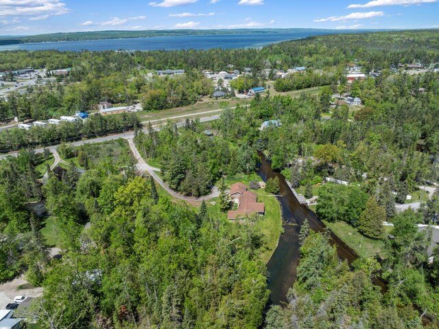 3869 Club Rd, Indian River, MI 49749 - view of property location with a forest and a nearby body of water