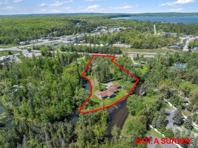 3869 Club Rd, Indian River, MI 49749 - aerial view of property's location featuring a forest, property boundaries highlighted, and a nearby body of water