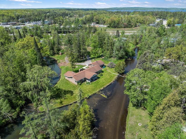 3869 Club Rd, Indian River, MI 49749 - aerial overview of property's location featuring a heavily wooded area and a nearby body of water