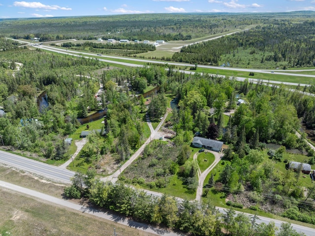 3869 Club Rd, Indian River, MI 49749 - view of property location with a forest
