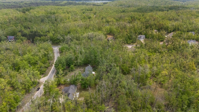 7151 Sugar Hill Cir, Gaylord, MI 49735 - photo 31