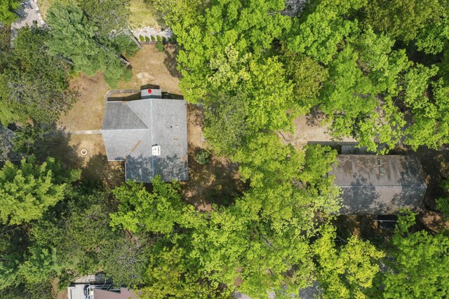 215 Pine Bluffs Rd, Roscommon, MI 48653 - aerial view