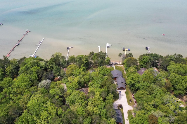215 Pine Bluffs Rd, Roscommon, MI 48653 - drone / aerial view