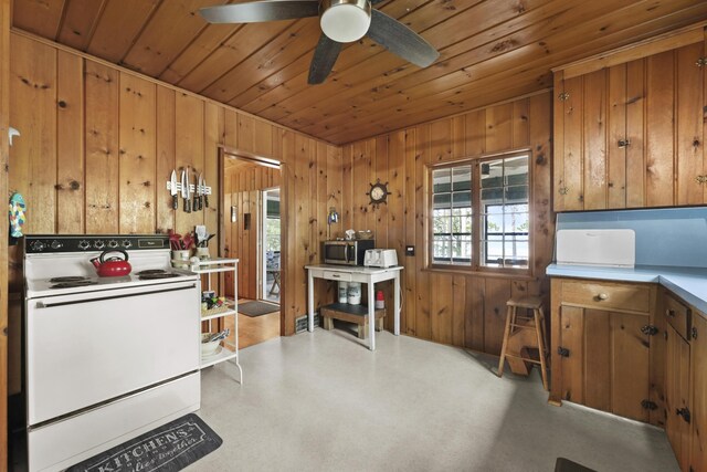 215 Pine Bluffs Rd, Roscommon, MI 48653 - kitchen with electric stove, wood ceiling, plenty of natural light, stainless steel microwave, and a ceiling fan