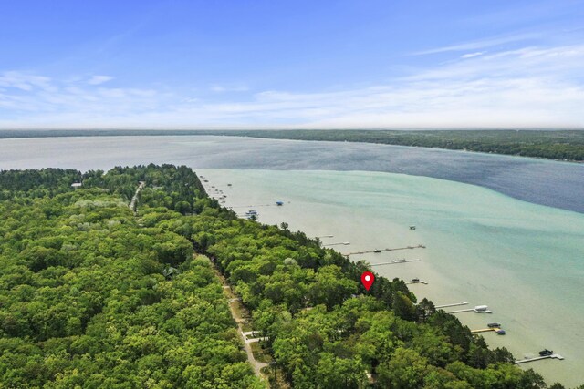 215 Pine Bluffs Rd, Roscommon, MI 48653 - drone / aerial view of a nearby body of water and a forest