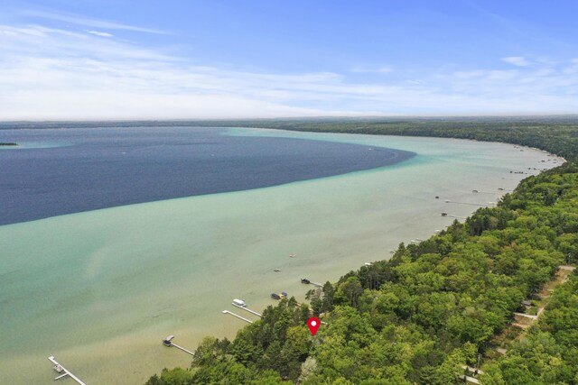 215 Pine Bluffs Rd, Roscommon, MI 48653 - aerial view of a nearby body of water