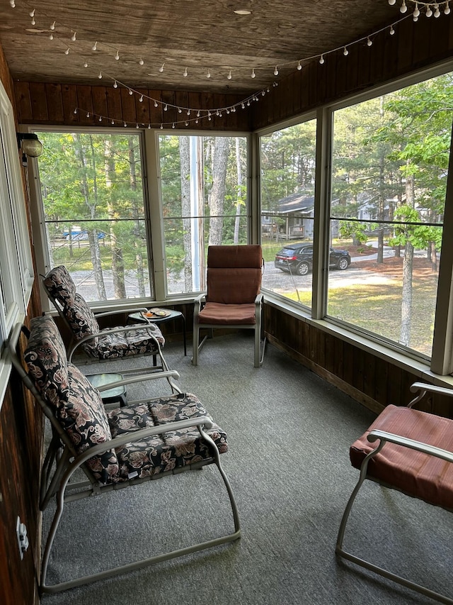 215 Pine Bluffs Rd, Roscommon, MI 48653 - sunroom / solarium featuring carpet
