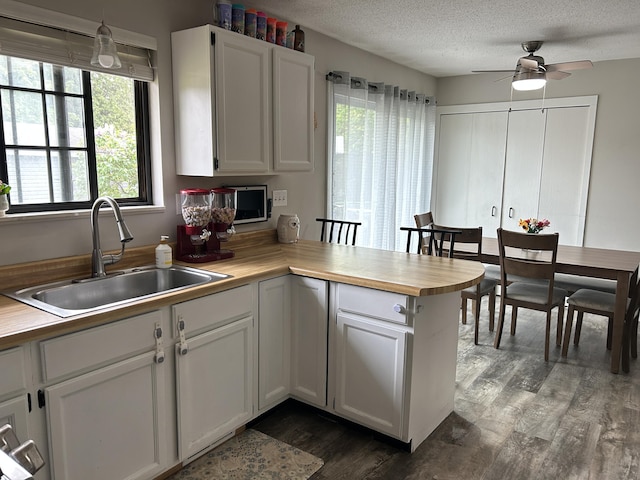 1200 Crestview Dr, Alpena, MI 49707 - kitchen with a sink, dark wood finished floors, a peninsula, white cabinetry, and a ceiling fan