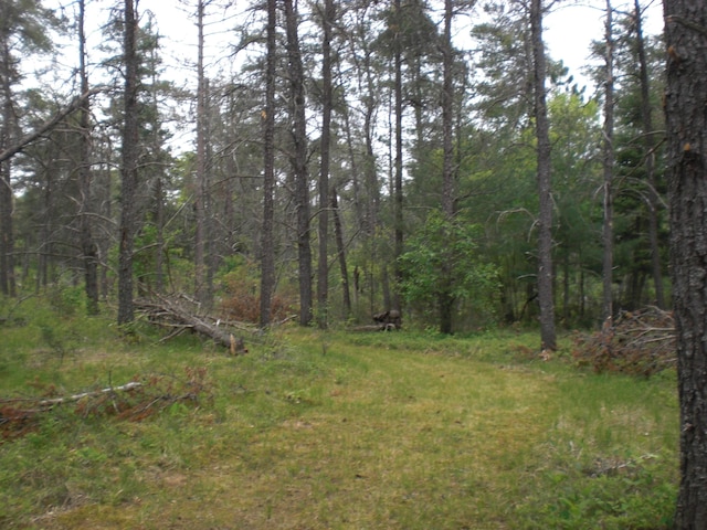 3123 Lovells Rd, Grayling, MI 49738 - view of wooded area
